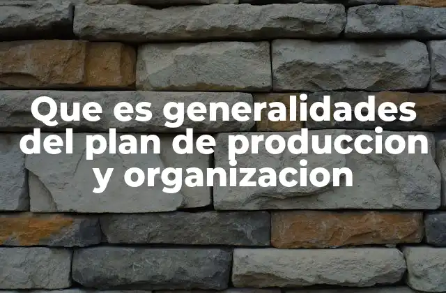 Que es Generalidades Del Plan de Produccion y Organizacion