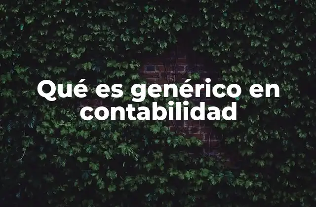El uso de descripciones genéricas en los estados financieros