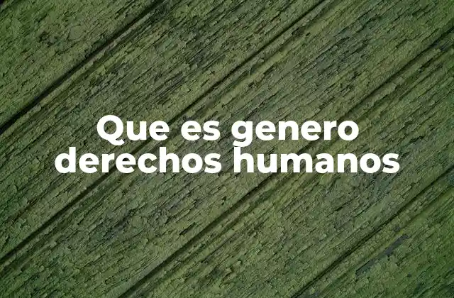 Que es Genero Derechos Humanos