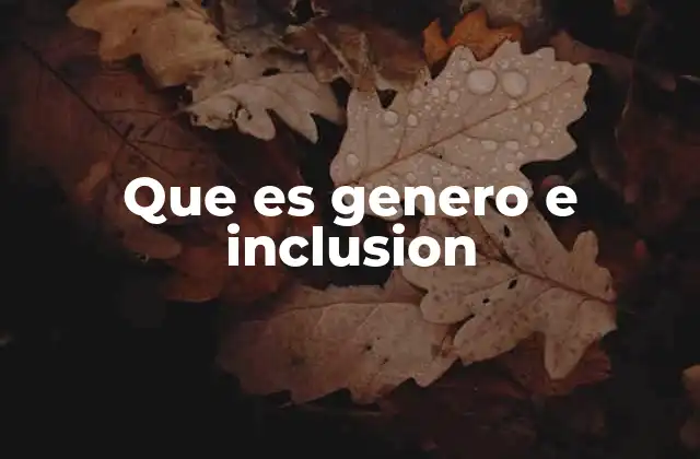 Que es Genero e Inclusion