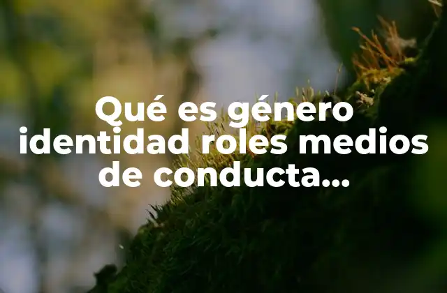 Qué es Género Identidad Roles Medios de Conducta Estereotipos