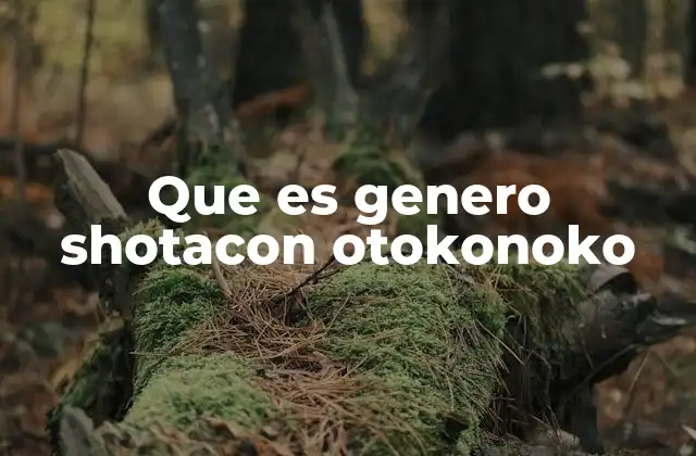 Que es Genero Shotacon Otokonoko