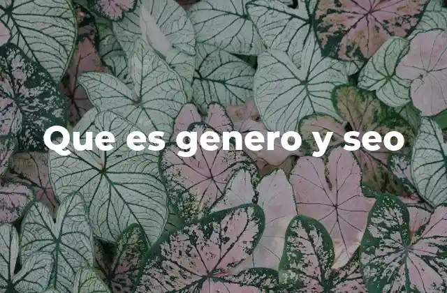 Que es Genero y Seo