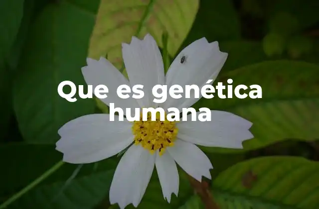 Que es Genética Humana