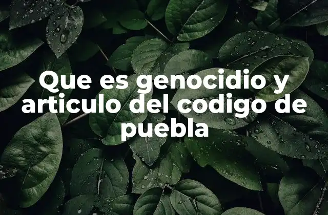 El genocidio como delito contra la humanidad en el contexto mexicano