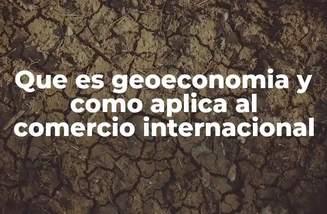Que es Geoeconomia y como Aplica Al Comercio Internacional