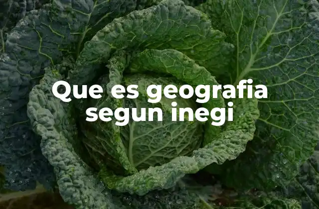 Que es Geografia Segun Inegi
