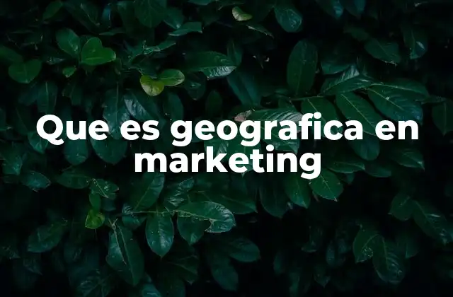 Que es Geografica en Marketing