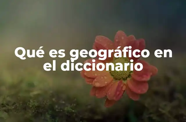 Qué es Geográfico en el Diccionario