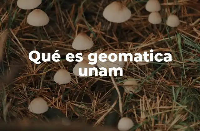 Qué es Geomatica Unam