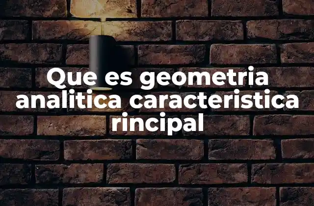 Que es Geometria Analitica Caracteristica Rincipal