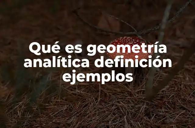 Qué es Geometría Analítica Definición Ejemplos
