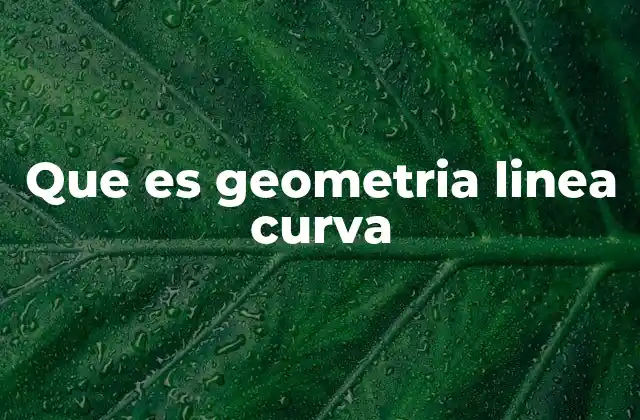 Que es Geometria Linea Curva