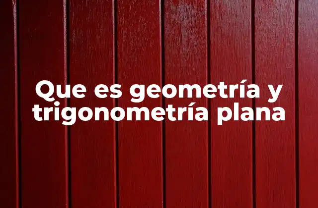 Que es Geometría y Trigonometría Plana