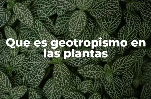 Cómo las plantas perciben la gravedad