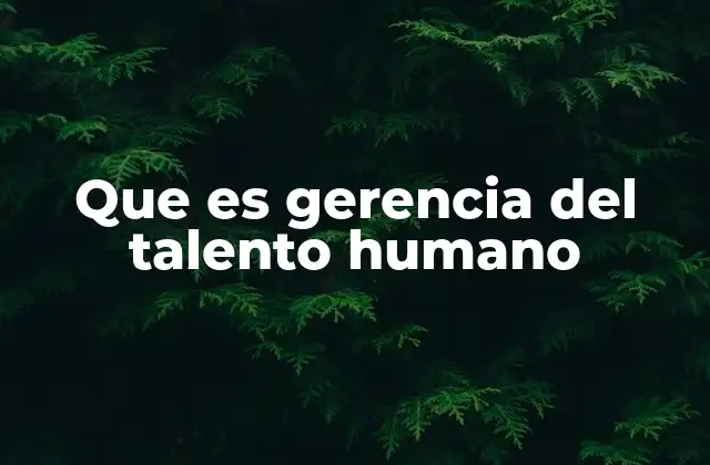 Que es Gerencia Del Talento Humano