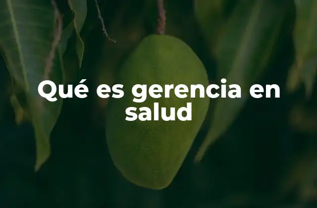 Qué es Gerencia en Salud