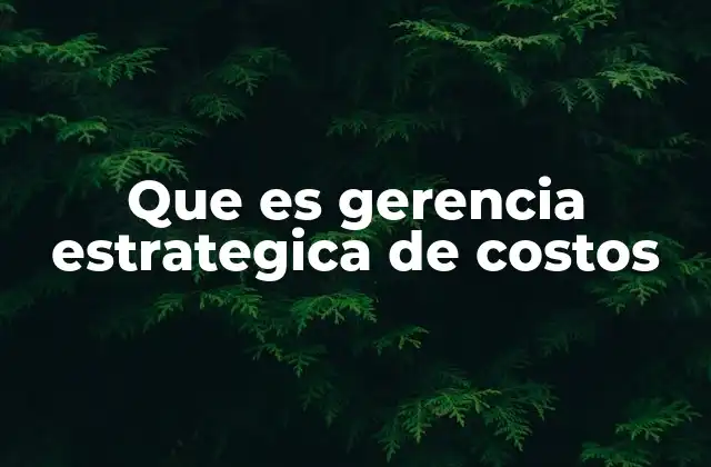 Que es Gerencia Estrategica de Costos