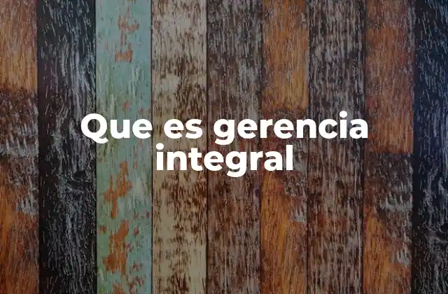 Que es Gerencia Integral