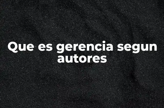 Que es Gerencia Segun Autores