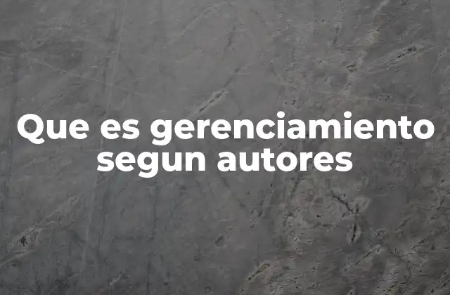 Que es Gerenciamiento Segun Autores