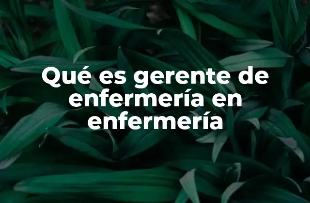 Qué es Gerente de Enfermería en Enfermería