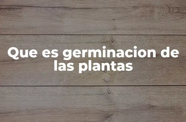 Que es Germinacion de las Plantas 2 Cómo ocurre el proceso de germinación