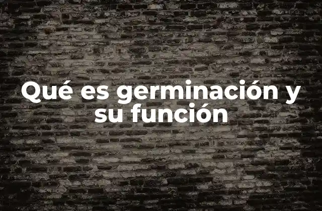 Qué es Germinación y Su Función