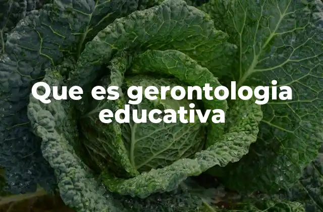 Que es Gerontologia Educativa
