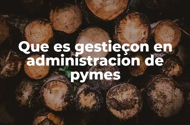 Que es Gestieçon en Administracion de Pymes
