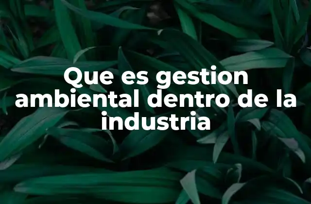 Que es Gestion Ambiental Dentro de la Industria