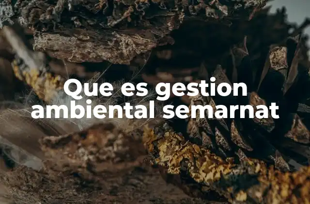Que es Gestion Ambiental Semarnat