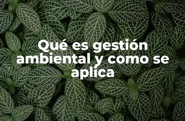 Qué es Gestión Ambiental y como Se Aplica