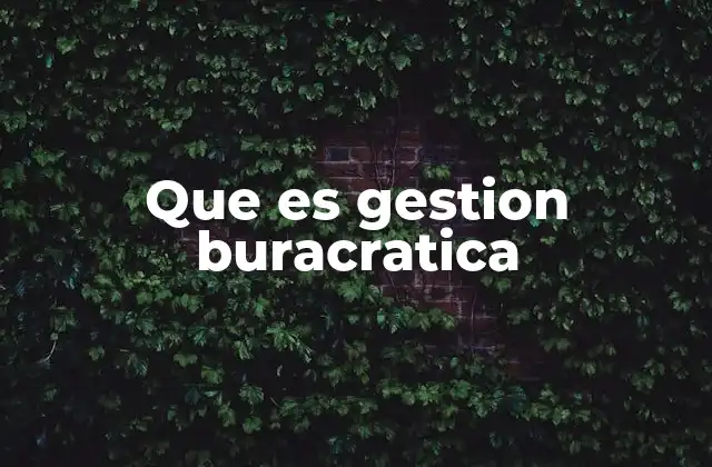 Que es Gestion Buracratica