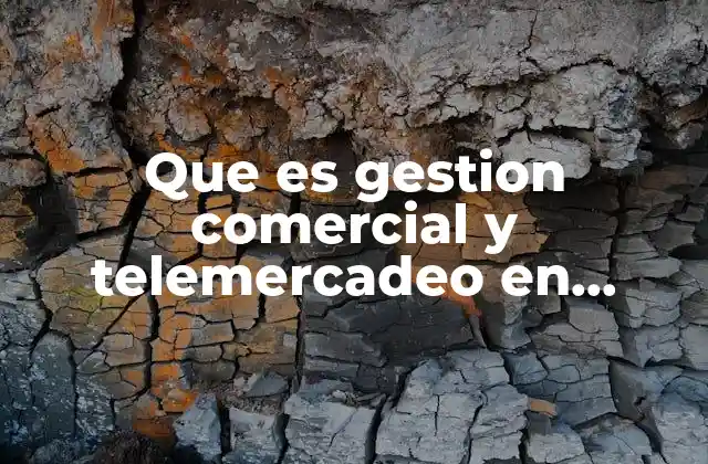 Que es Gestion Comercial y Telemercadeo en Contact Center