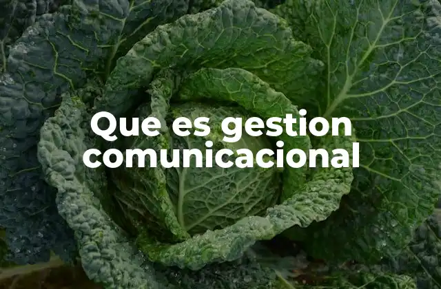 Que es Gestion Comunicacional