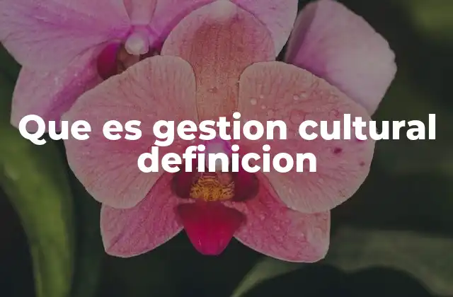 Que es Gestion Cultural Definicion