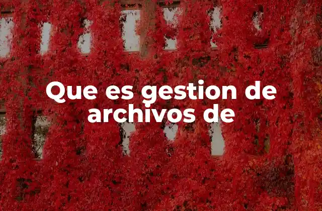 Que es Gestion de Archivos de