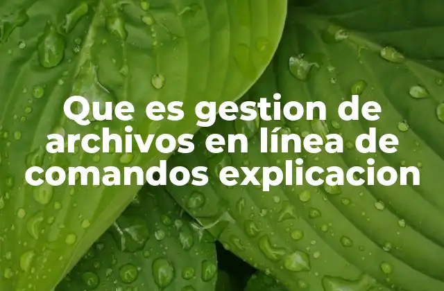 Que es Gestion de Archivos en Línea de Comandos Explicacion