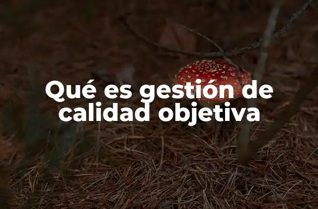 Qué es Gestión de Calidad Objetiva
