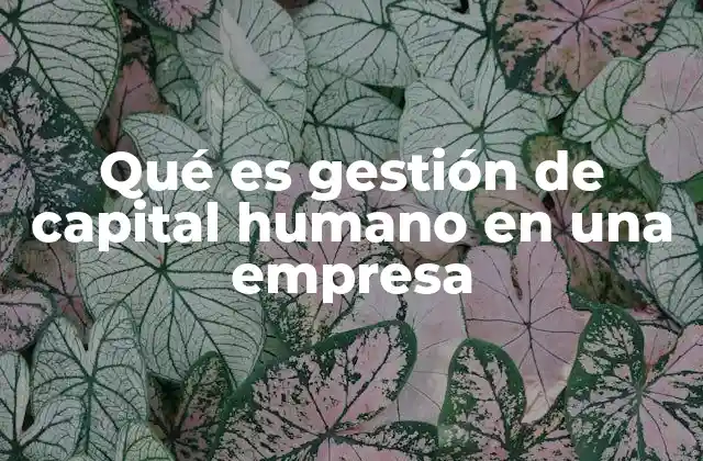 Qué es Gestión de Capital Humano en una Empresa