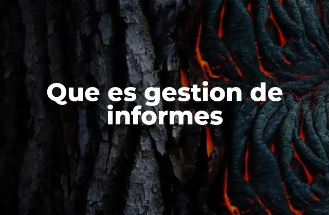 Que es Gestion de Informes 2 La importancia de estructurar información en informes