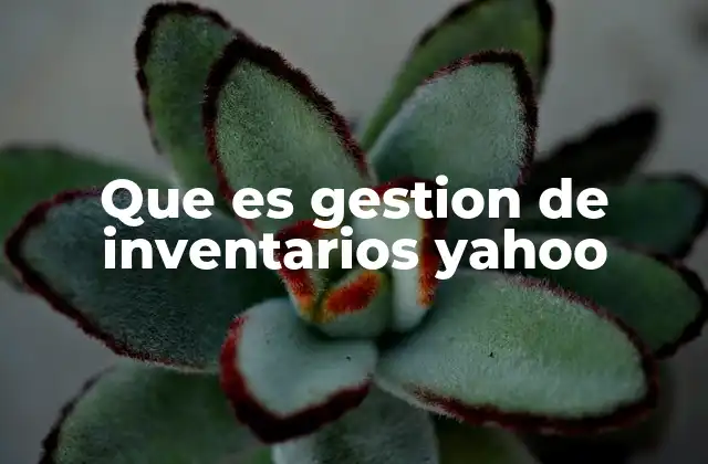 Que es Gestion de Inventarios Yahoo