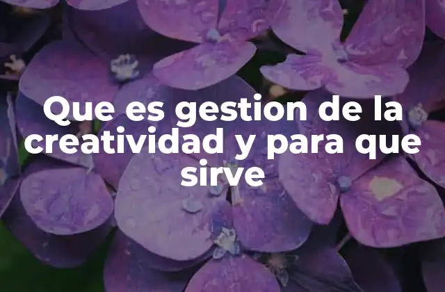 Que es Gestion de la Creatividad y para que Sirve