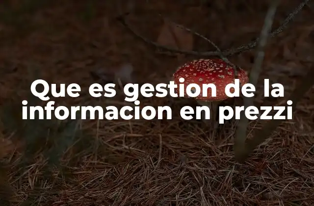 Que es Gestion de la Informacion en Prezzi