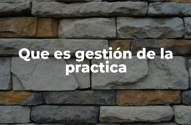 Que es Gestión de la Practica