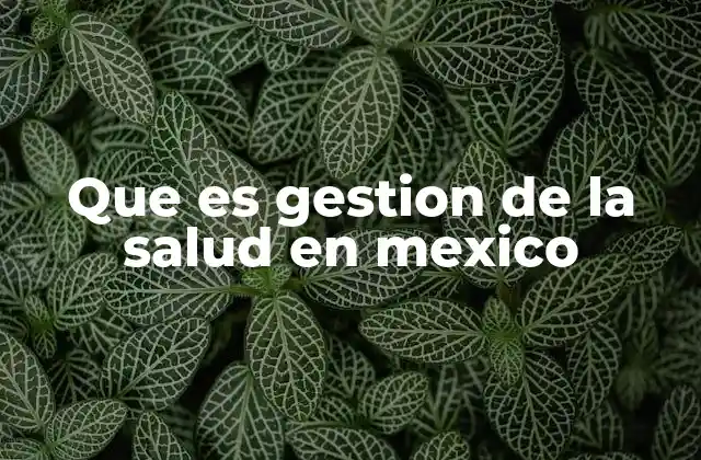 Que es Gestion de la Salud en Mexico