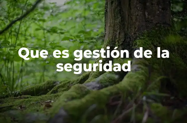 Que es Gestión de la Seguridad