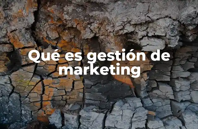 Qué es Gestión de Marketing