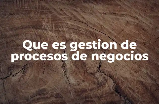 Que es Gestion de Procesos de Negocios